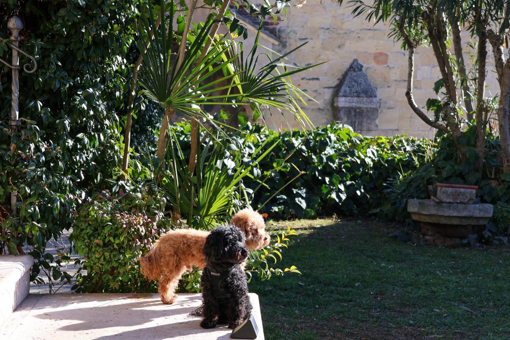 Aurelia Maison Verona Bagian luar foto