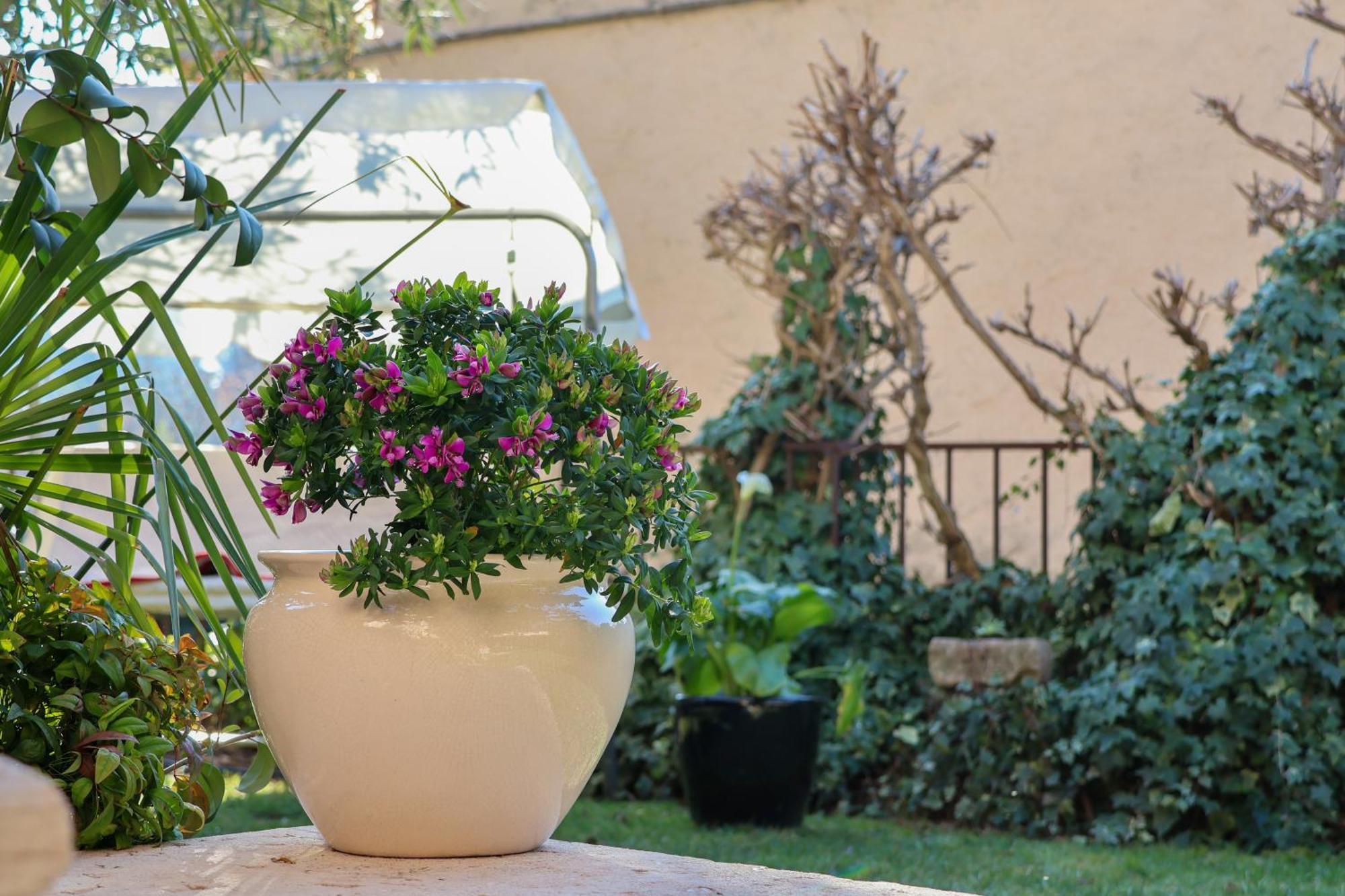 Aurelia Maison Verona Bagian luar foto